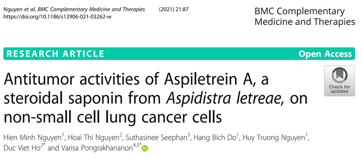 Kết quả hợp chất Aspiletrein A ức chế tín hiệu Akt trong các dòng tế bào ung thư phổi H460 (A), H23 (B) và A549 (C) 